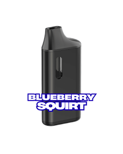Elevator - Blueberry Squirt AIO 1g