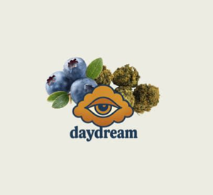 daydream – Blueberry Slapz 28g
