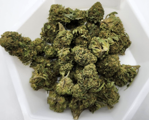 Zippy – Purple Kush 7g