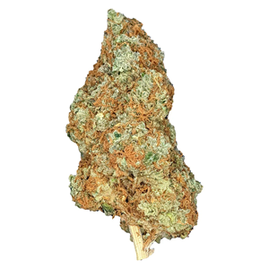 Mailman - Future Island 5x0.3g