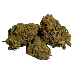 Dykstra Greenhouses - Happy Daze 28g