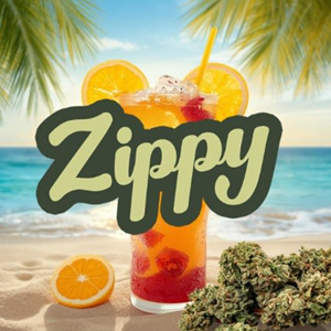 Zippy – Sunshine Punch 7g