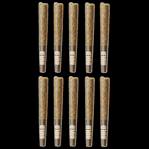 Bold Growth - Cool Aid Kush 20x0.5g