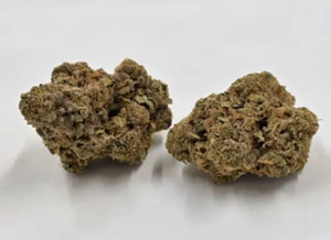 North 40 Micro Series – Gasberry  14g