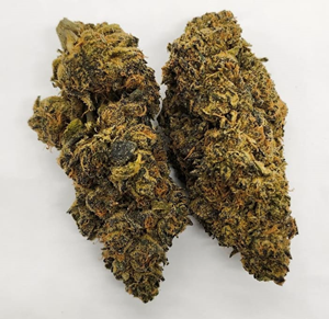 Elevator – Blueberry Kush 14g
