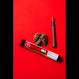 Bold Growth - Root Beer Float 1x1g
