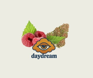 daydream – Raspberry Glue 14g