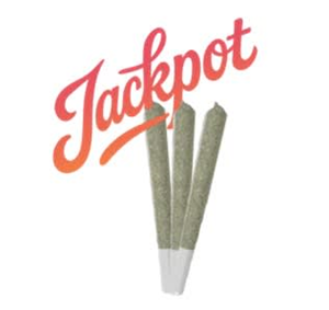 Jackpot – Orange Tangie 3×0.5g