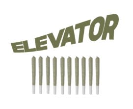 Elevator – Strawberry Dream 10×0.5g